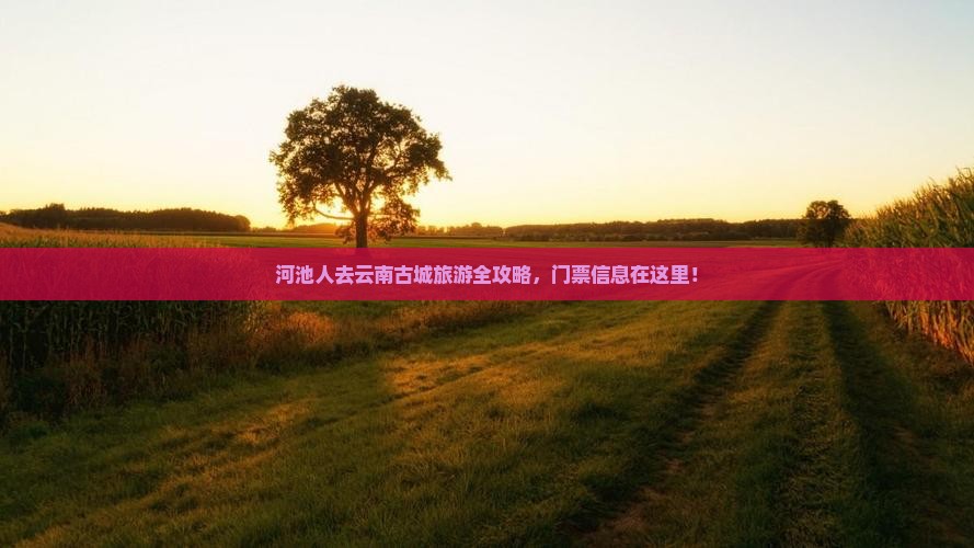 河池去云南古城门票