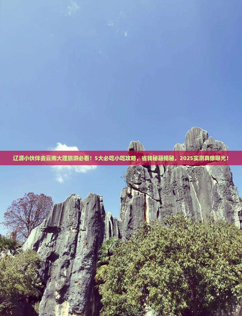 辽源去云南大理旅游小吃