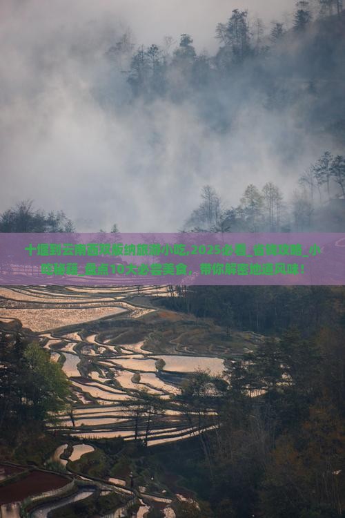 十堰到云南西双版纳旅游小吃