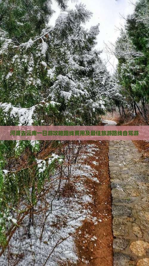 河源去云南一日