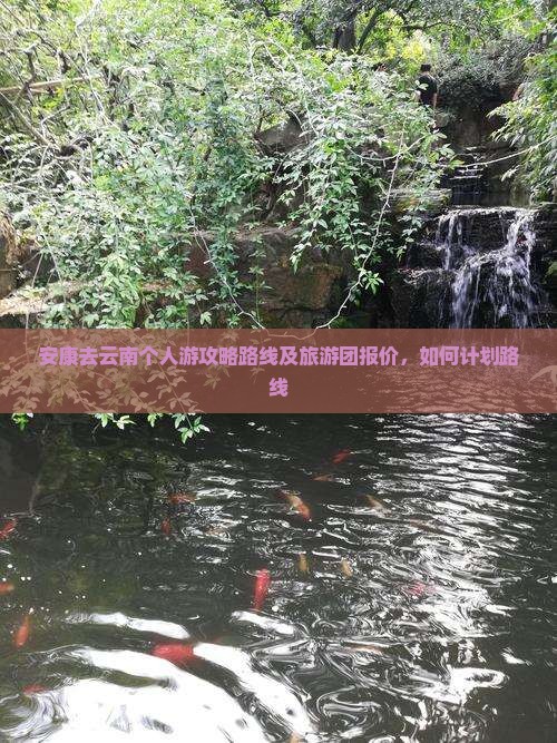 安康去云南个人游