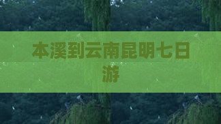本溪到云南昆明七日游