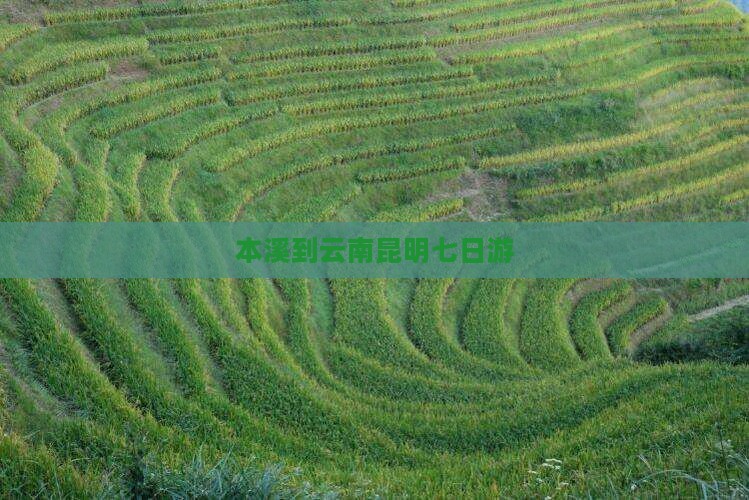 本溪到云南昆明七日游