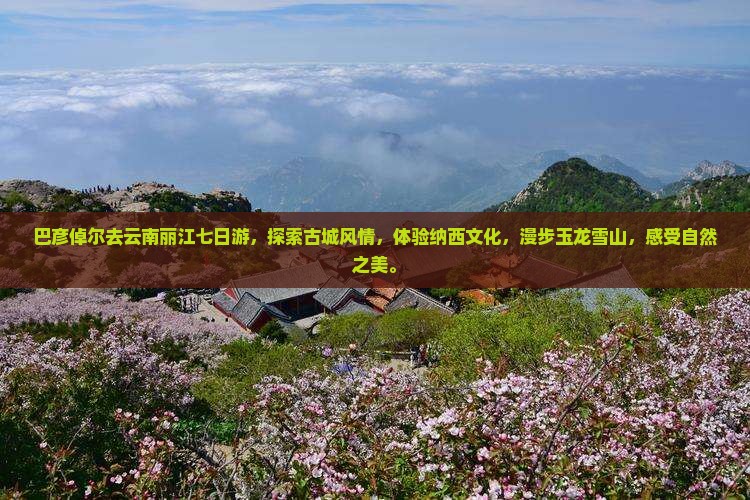 巴彦倬尔去云南丽江七日游