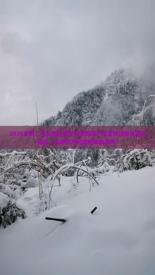 包头到云南泸沽湖旅游小吃