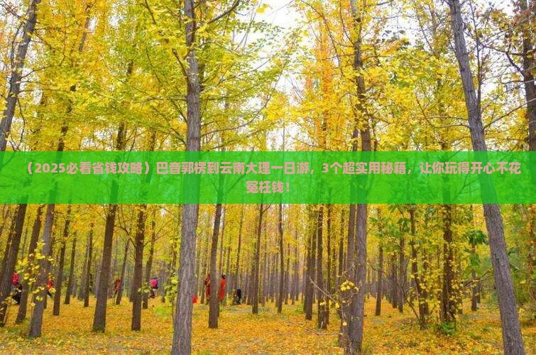 巴音郭楞到云南大理一日