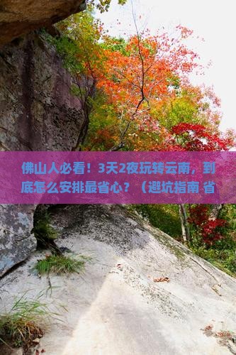 佛山去云南自由行