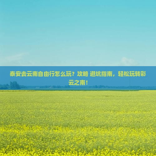 泰安去云南自由行