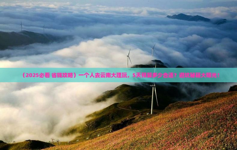 阿里到云南大理个人游