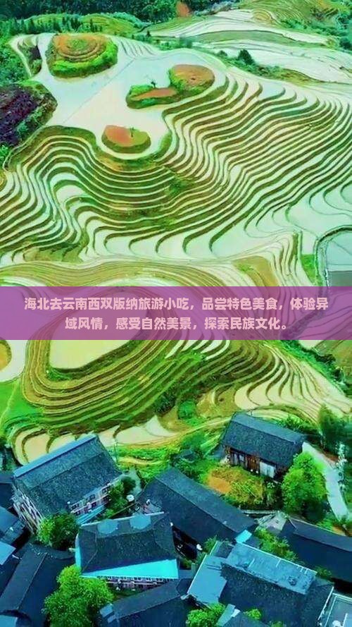海北去云南西双版纳旅游小吃