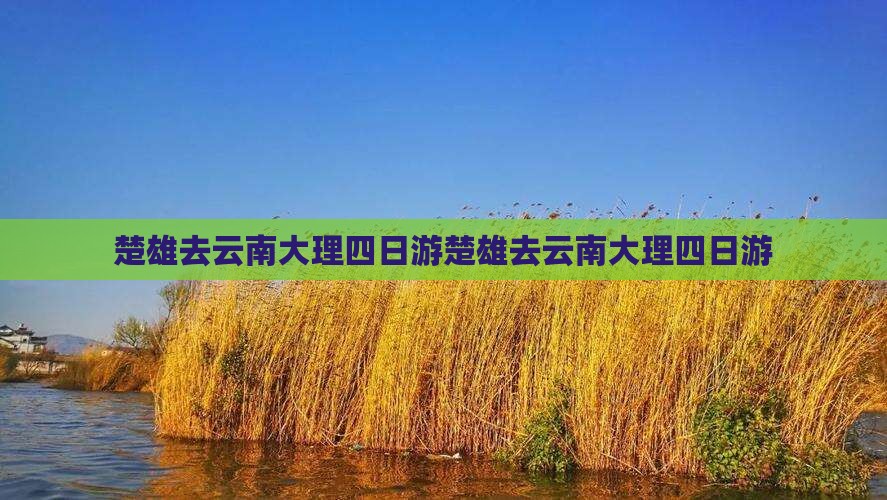 楚雄去云南大理四日游