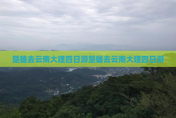 楚雄去云南大理四日游