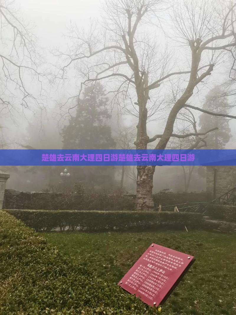 楚雄去云南大理四日游
