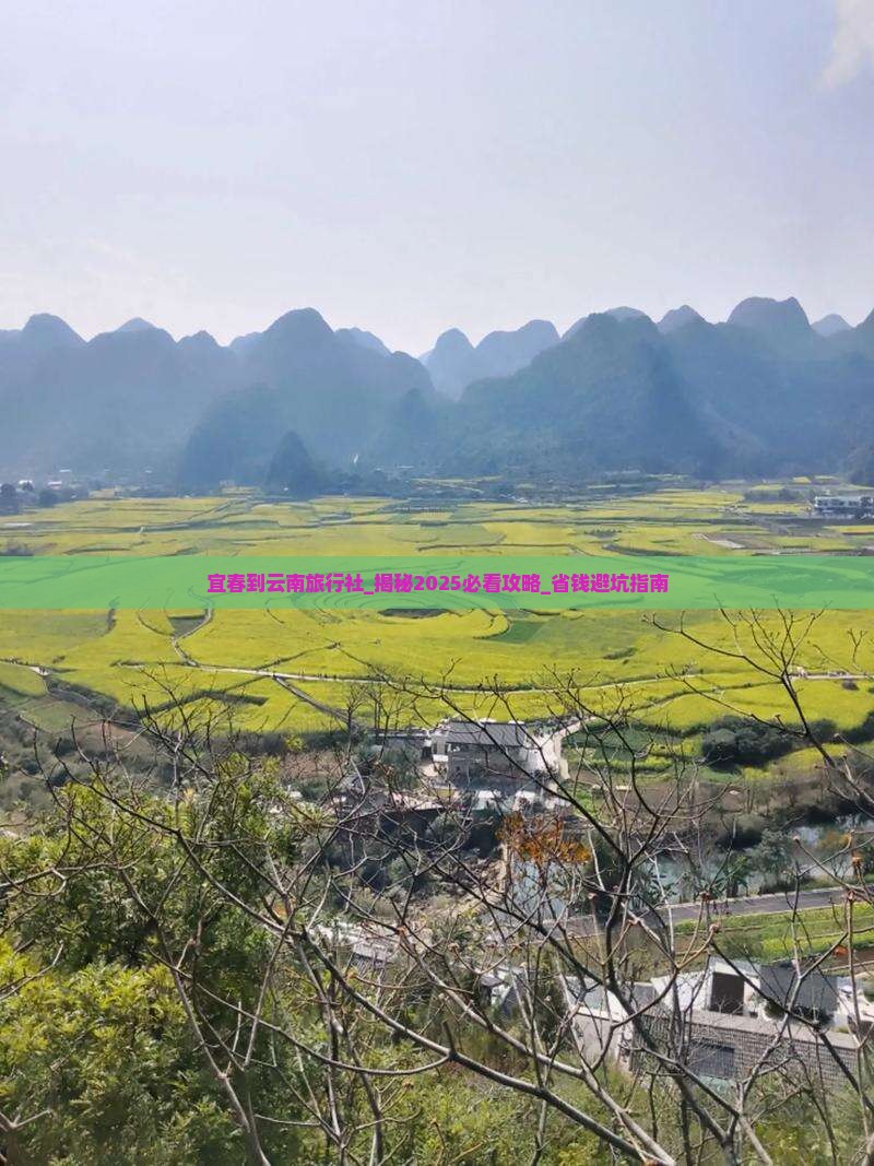 宜春到云南旅行社