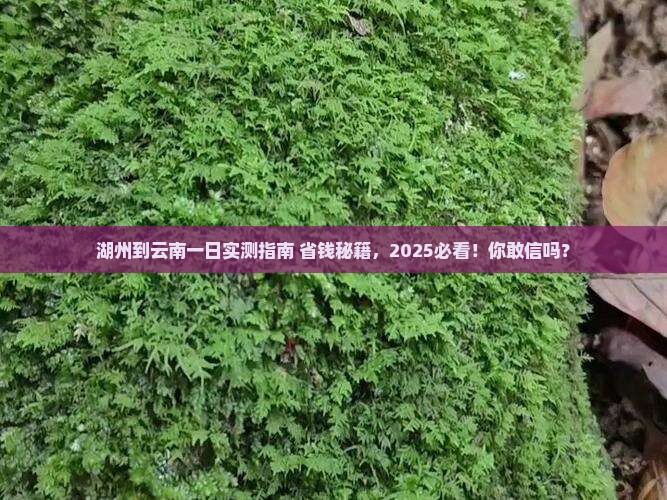 湖州到云南一日