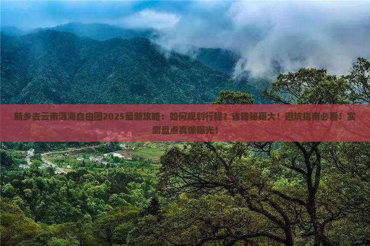 新乡去云南洱海自由团