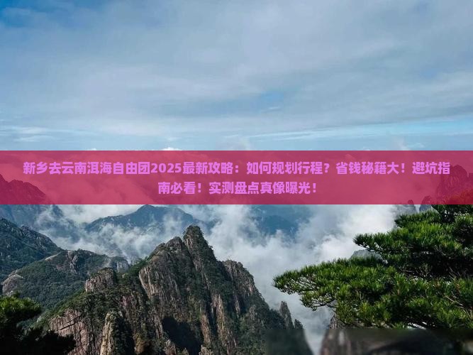 新乡去云南洱海自由团