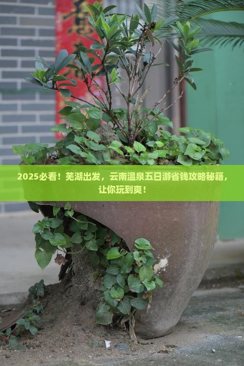 芜湖到云南温泉五日游