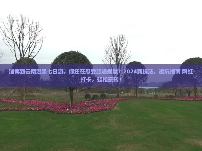淄博到云南温泉七日游