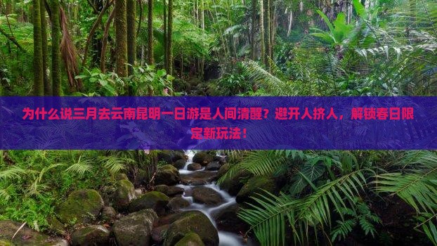 三月到云南昆明一日