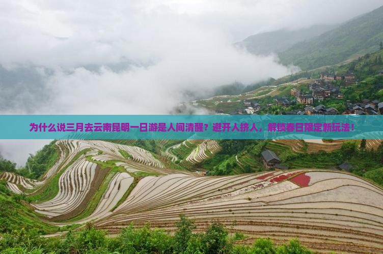 三月到云南昆明一日