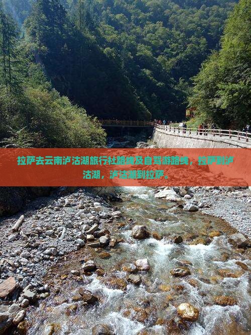 拉萨去云南泸沽湖旅行社