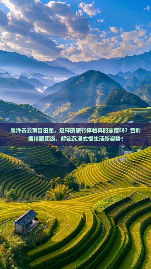 鹰潭去云南自由团