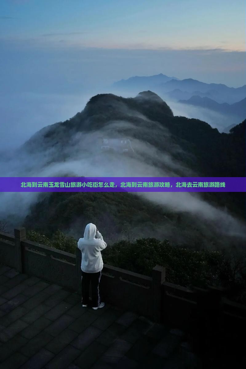 北海到云南玉龙雪山旅游小吃