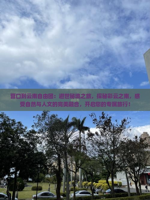 营口到云南自由团