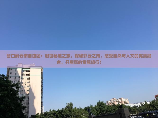 营口到云南自由团
