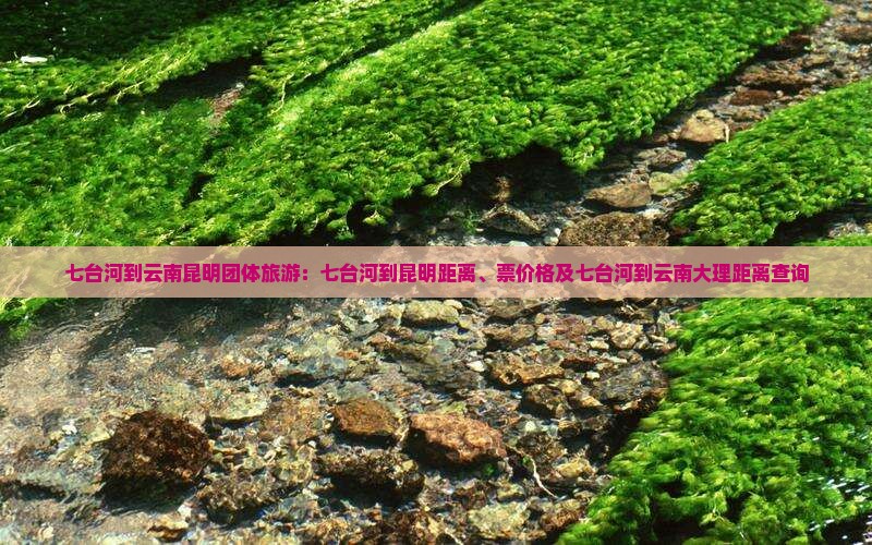 七台河到云南昆明团体旅游
