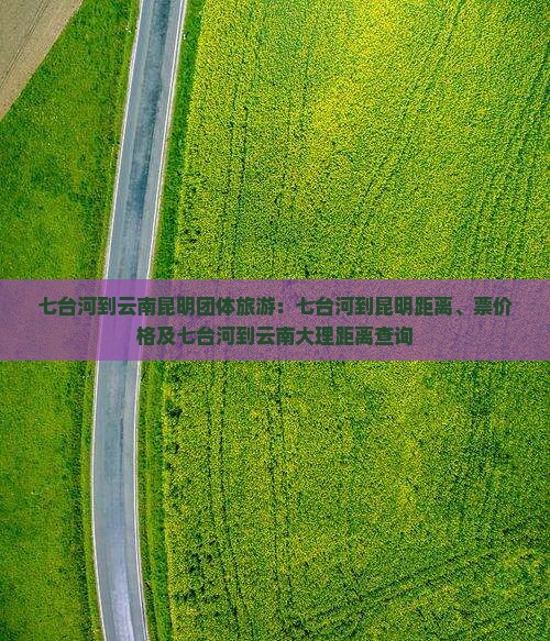 七台河到云南昆明团体旅游