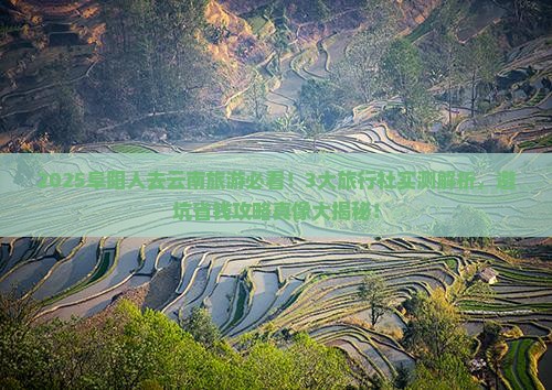 阜阳去云南旅行社