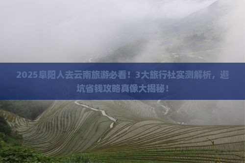 阜阳去云南旅行社