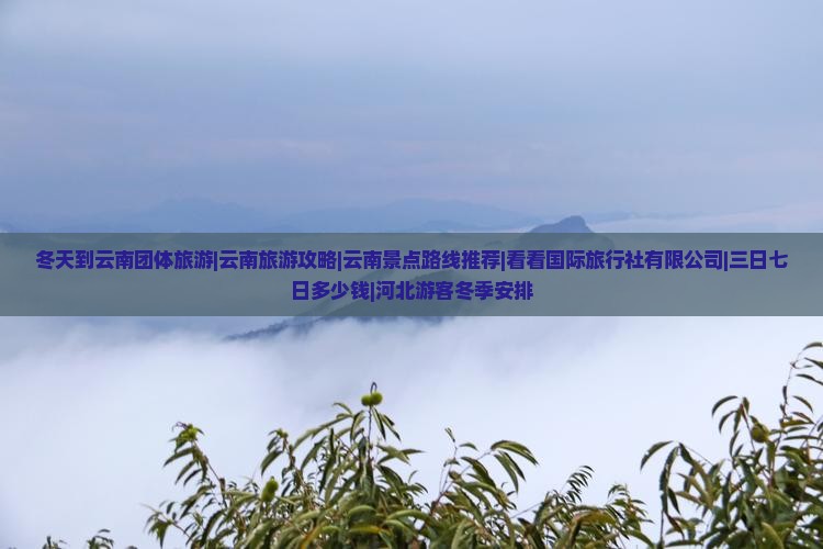 冬天到云南团体旅游