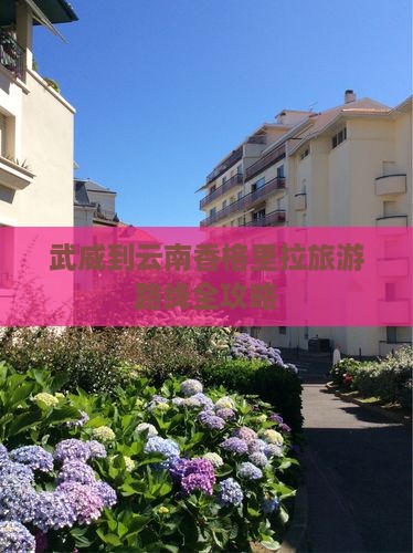 武威去云南香格里拉自由行