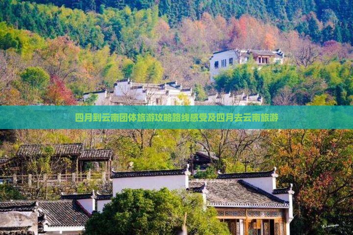 四月到云南团体旅游