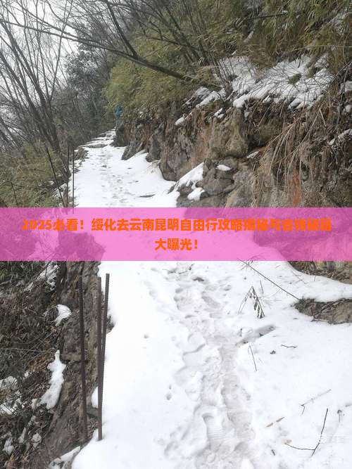 绥化去云南昆明自由行