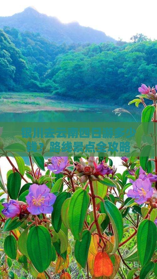 银川去云南四日游