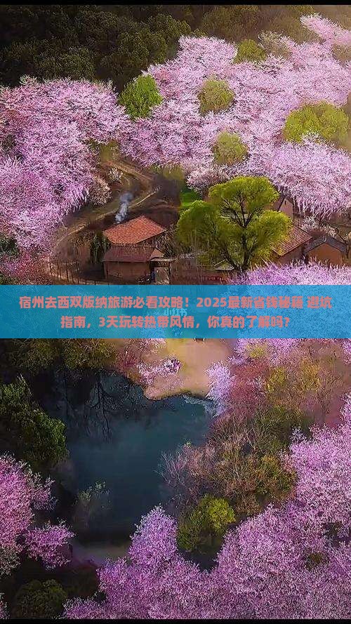 宿州到云南西双版纳旅游