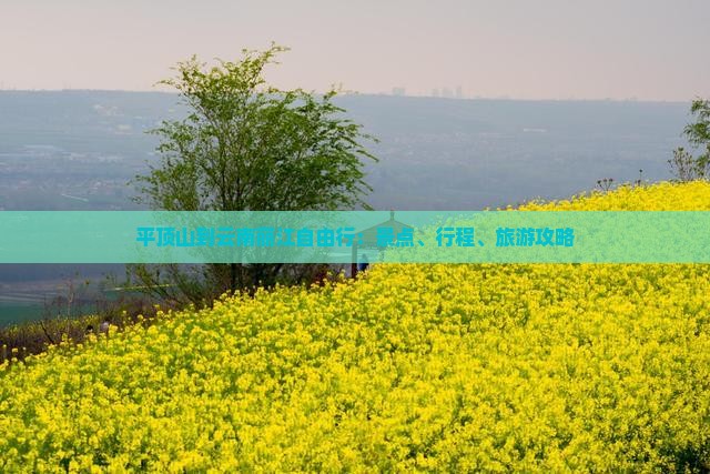 平顶山到云南丽江自由行