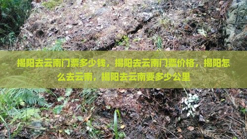 揭阳去云南门票