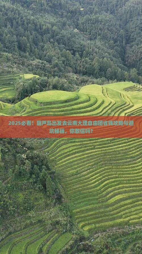 葫芦岛去云南大理自由团