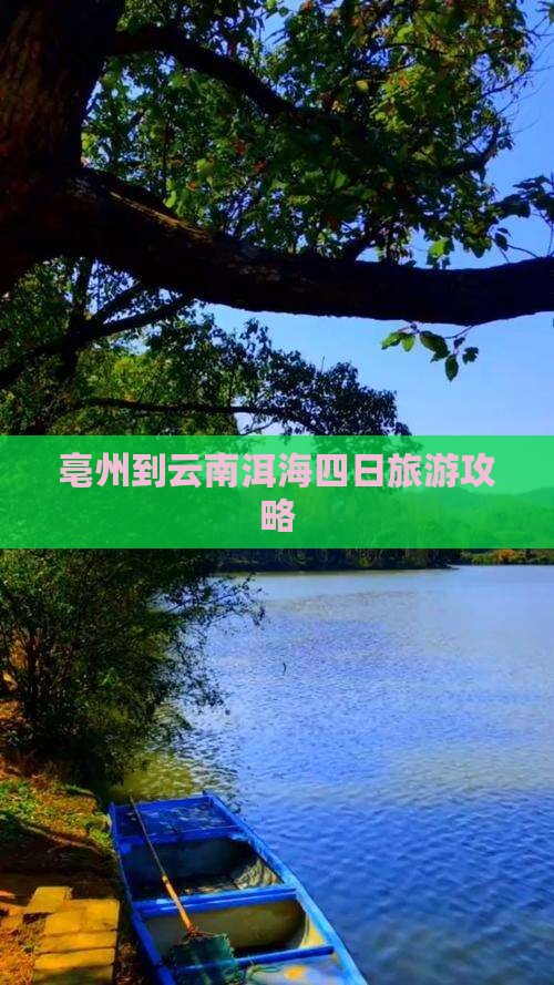 亳州到云南洱海四日游