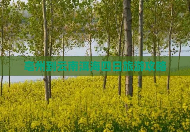 亳州到云南洱海四日游