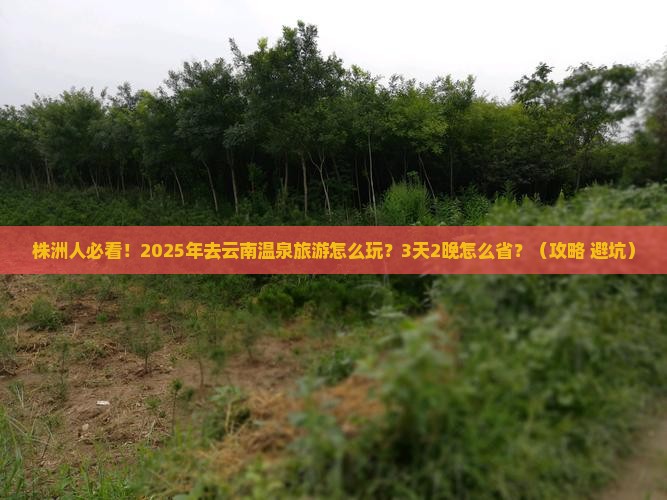 株洲去云南温泉旅游