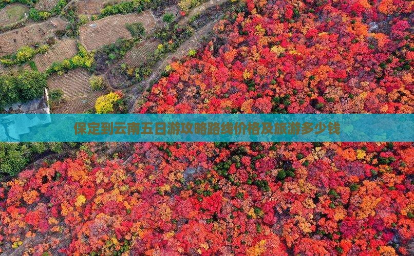 保定到云南五日游
