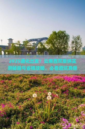 通化到云南西双版纳攻略