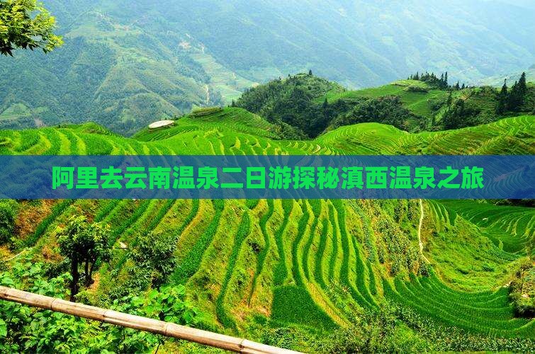 阿里去云南温泉二日游
