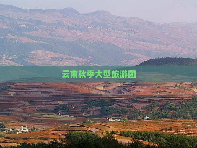 秋天到云南大型旅游团